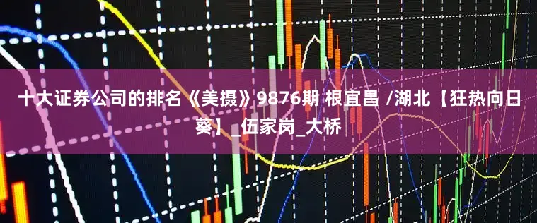 十大证券公司的排名《美摄》9876期 根宜昌 /湖北【狂热向日葵】_伍家岗_大桥