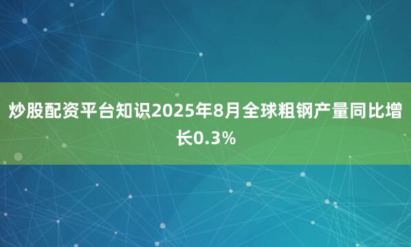 炒股配资平台知识2025年8月全球粗钢产量同比增长0.3%